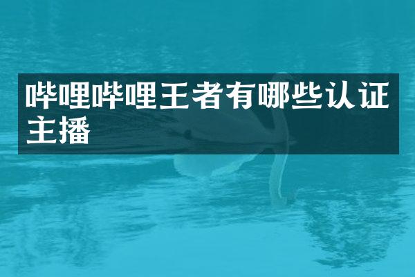 哔哩哔哩王者有哪些认证主播