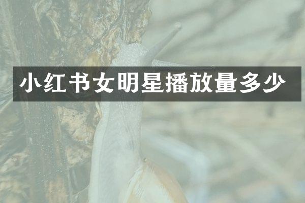 小红书女明星播放量多少
