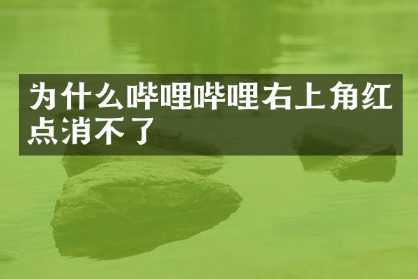 为什么哔哩哔哩右上角红点消不了