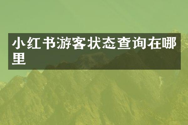 小红书游客状态查询在哪里