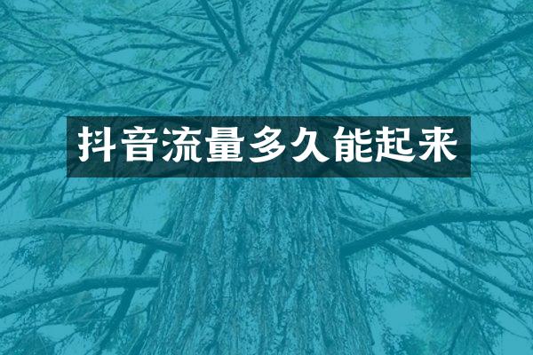 抖音流量多久能起来