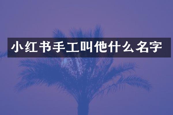 小红书手工叫他什么名字