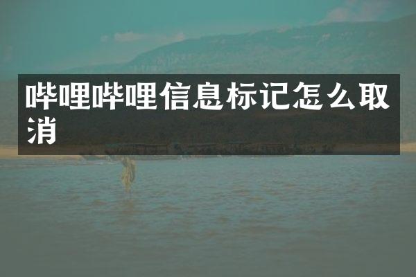 哔哩哔哩信息标记怎么取消