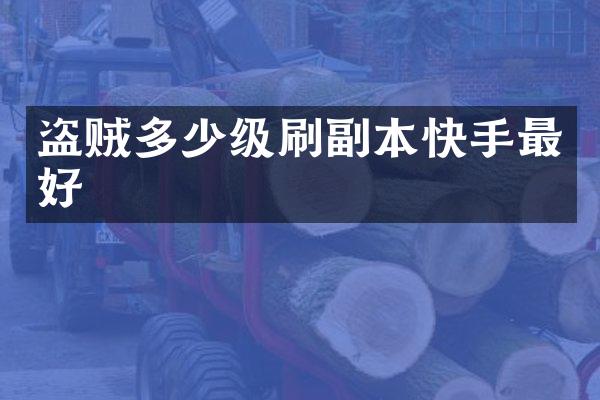 盗贼多少级刷副本快手最好