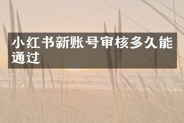小红书新账号审核多久能通过