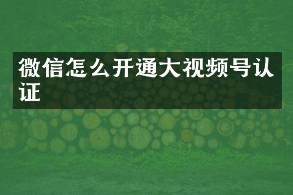 微信怎么开通大视频号认证