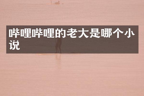 哔哩哔哩的老大是哪个小说