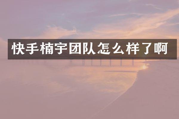 快手楠宇团队怎么样了啊