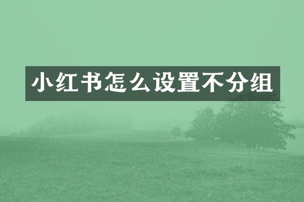 小红书怎么设置不分组