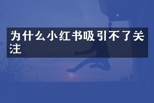 为什么小红书吸引不了关注