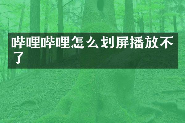 哔哩哔哩怎么划屏播放不了