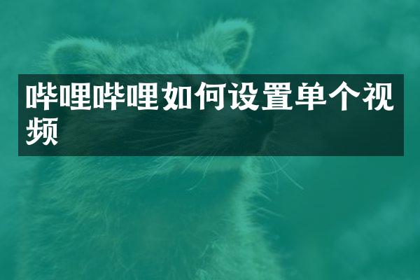 哔哩哔哩如何设置单个视频