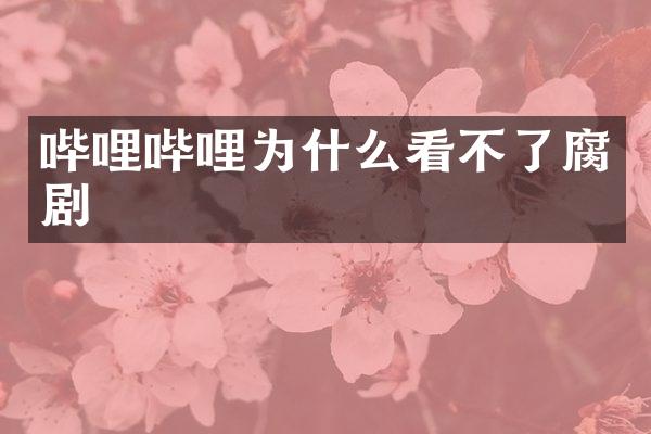 哔哩哔哩为什么看不了