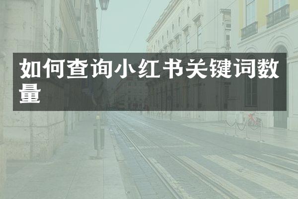 如何查询小红书关键词数量
