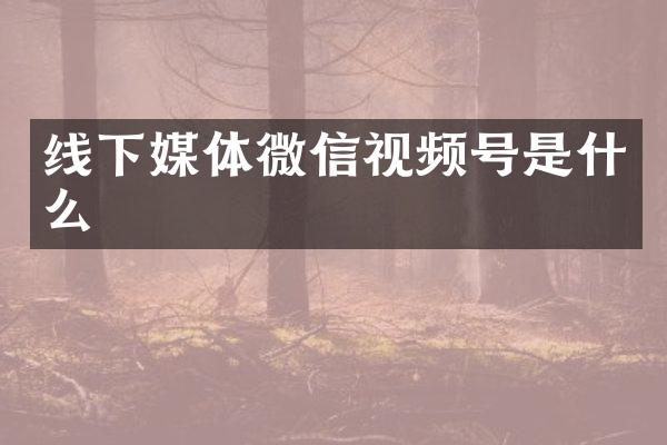 线下媒体微信视频号是什么