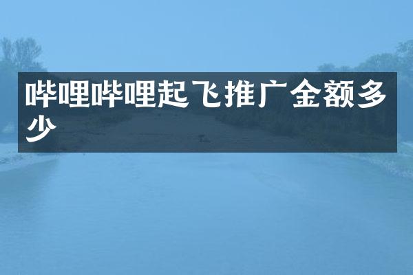 哔哩哔哩起飞推广金额多少