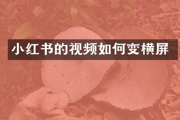 小红书的视频如何变横屏