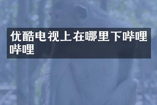 优酷电视上在哪里下哔哩哔哩