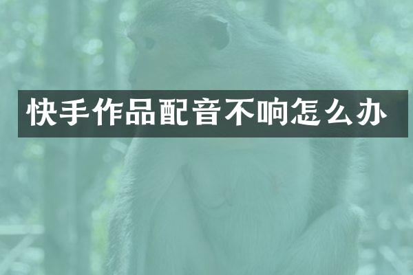 快手作品配音不响怎么办