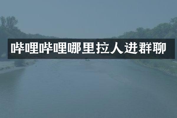 哔哩哔哩哪里拉人进群聊