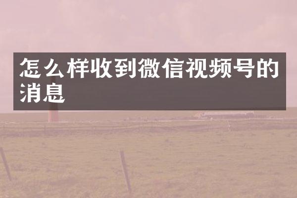 怎么样收到微信视频号的消息