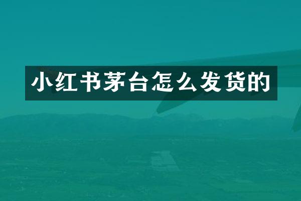 小红书茅台怎么发货的