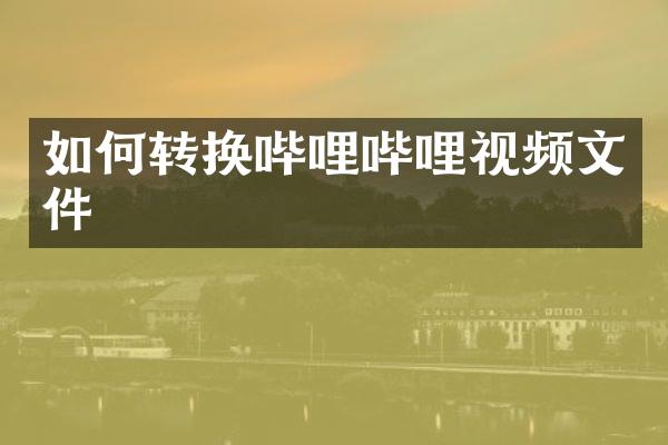 如何转换哔哩哔哩视频文件