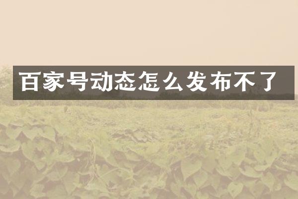 百家号动态怎么发布不了