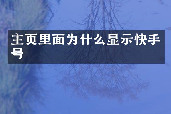 主页里面为什么显示快手号