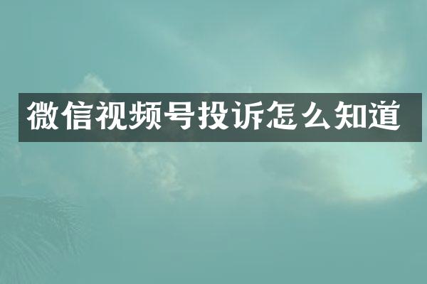 微信视频号投诉怎么知道