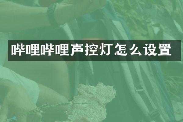 哔哩哔哩声控灯怎么设置