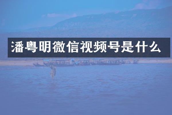 潘粤明微信视频号是什么