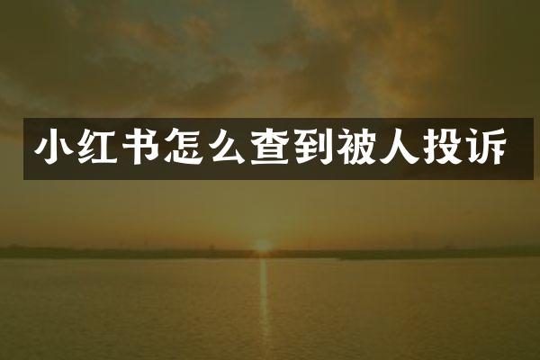 小红书怎么查到被人投诉