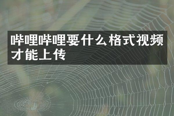 哔哩哔哩要什么格式视频才能上传