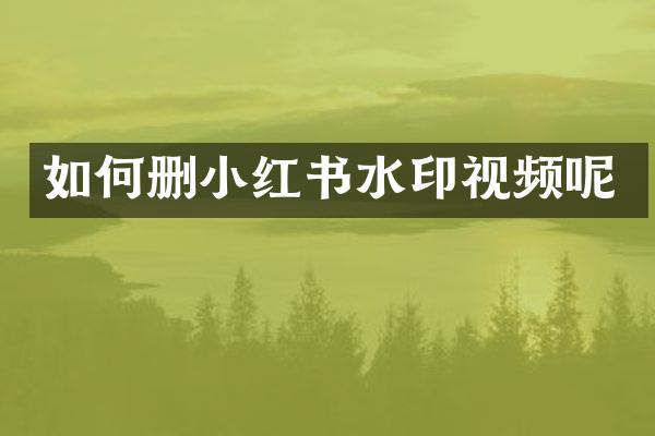 如何删小红书水印视频呢
