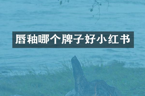 唇釉哪个牌子好小红书