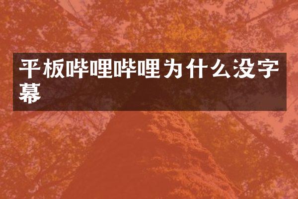 平板哔哩哔哩为什么没字幕