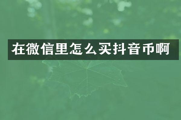 在微信里怎么买抖音币啊