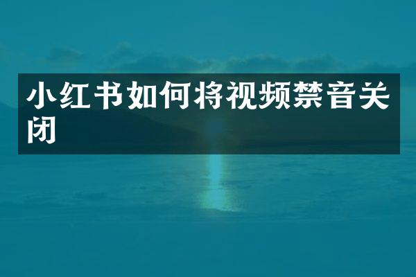 小红书如何将视频禁音关闭