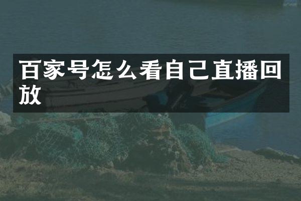 百家号怎么看自己直播回放