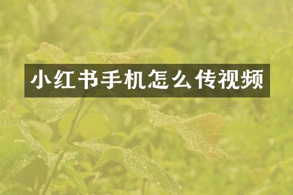 小红书手机怎么传视频