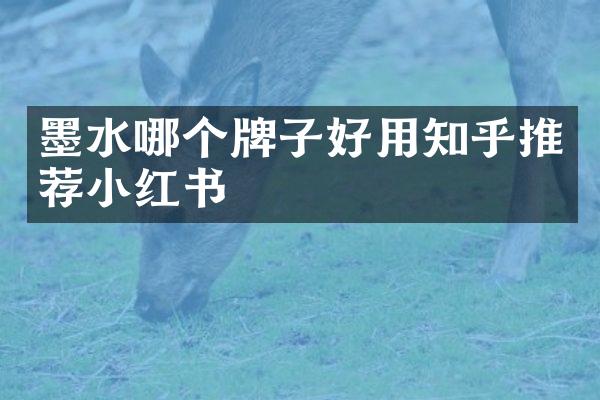 墨水哪个牌子好用知乎推荐小红书