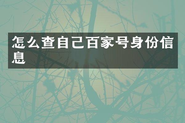 怎么查自己百家号身份信息