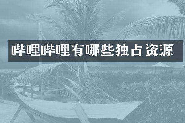 哔哩哔哩有哪些独占资源