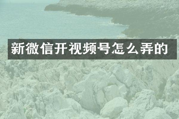 新微信开视频号怎么弄的