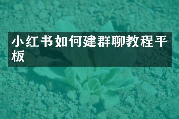 小红书如何建群聊教程平板