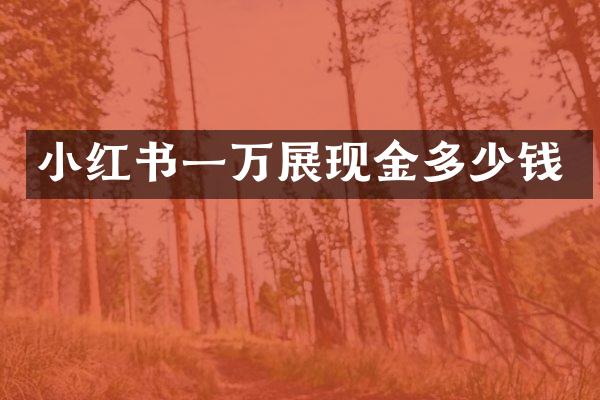 小红书一万展现金多少钱