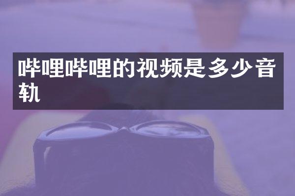 哔哩哔哩的视频是多少音轨