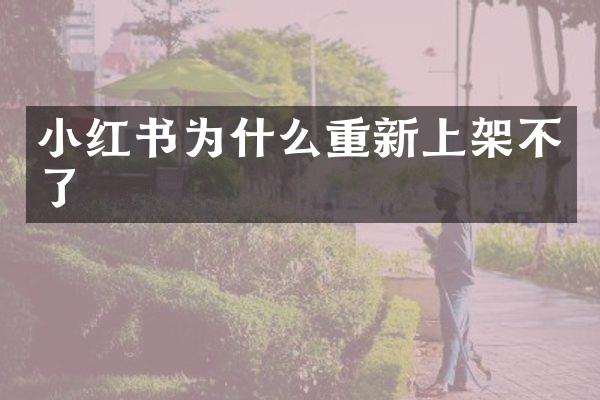 小红书为什么重新上架不了
