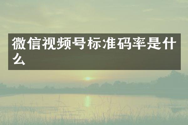 微信视频号标准码率是什么